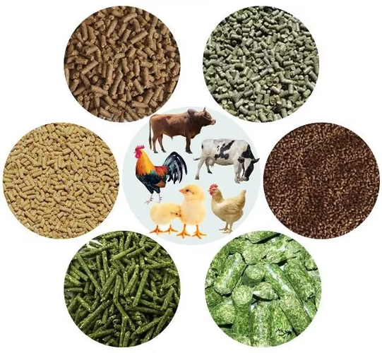 Aliments pour bétail